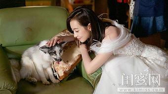 宋茜爆料结局视频,揭秘剧情高潮与感人泪点 第1张 宋茜爆料结局视频,揭秘剧情高潮与感人泪点 第1张